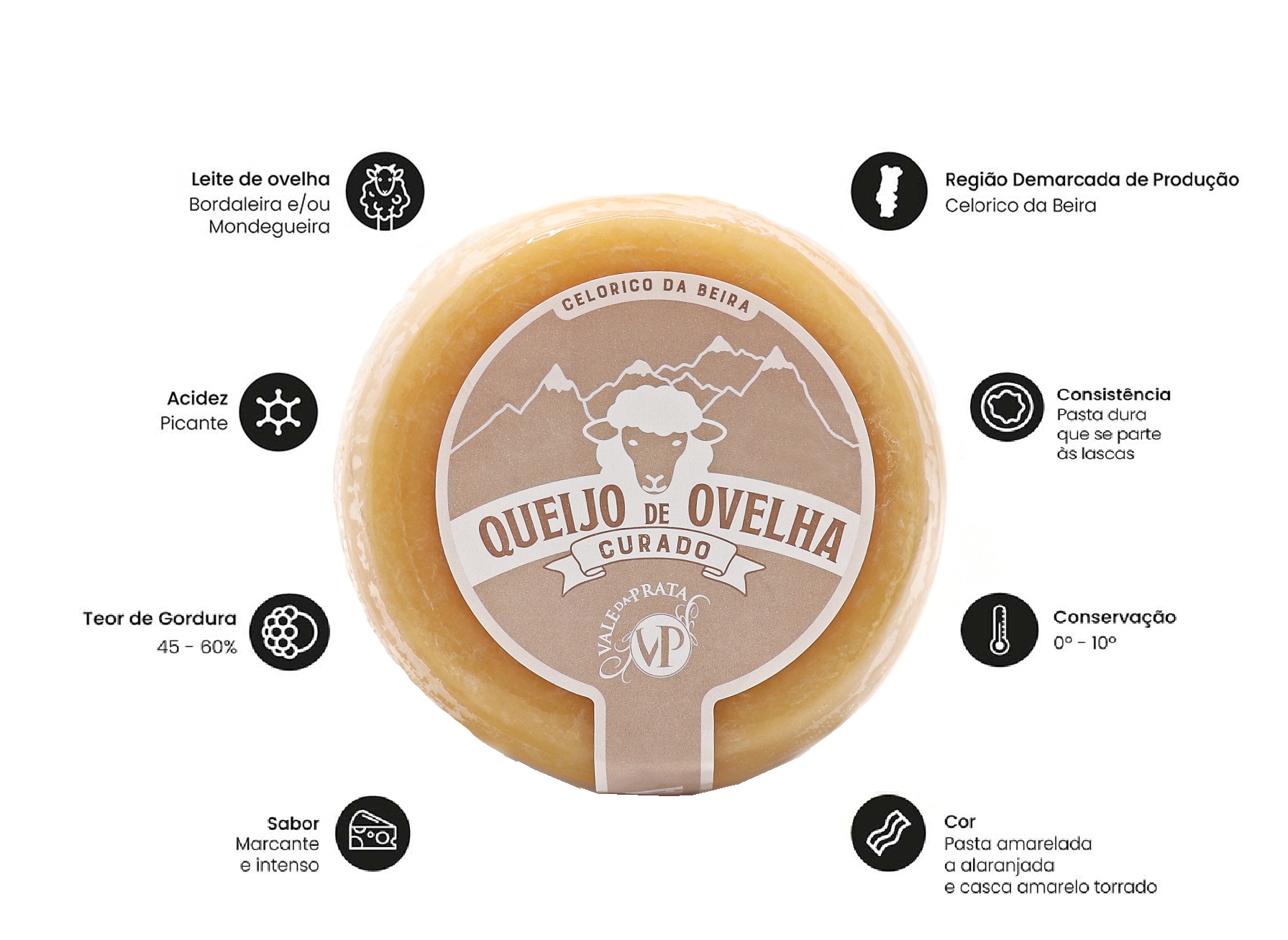 montagem curado final