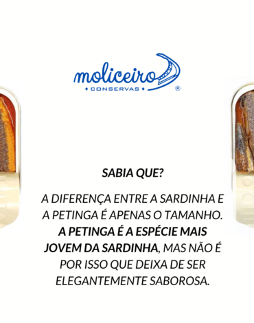 Sardinha ou Petinga Moliceiro